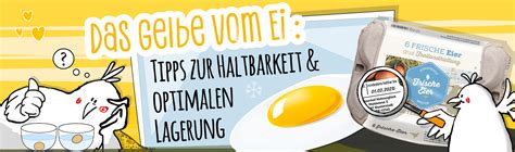 Infografik: Tipps zur optimalen Honiglagerung und Haltbarkeit
