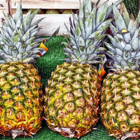 Infografik: Trockenprozess und Nährstoffe getrocknete Ananas