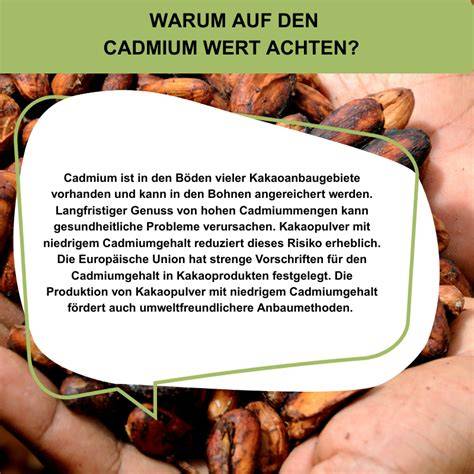 Infografik: Typische Problemfelder bei Kakaopulver (Zucker, MOSH, Cadmium, Lieferkette)