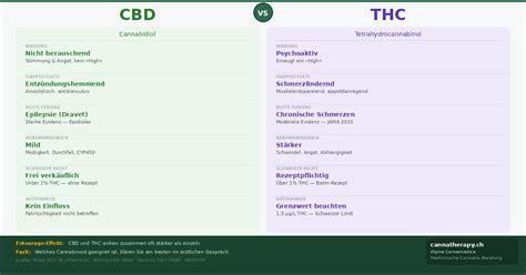 Infografik: Unterschied Hanfsamen, Hanfextrakte, THC- und CBD-Rechtslage