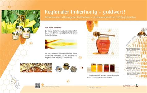 Infografik: Unterschied industrielle Honigverarbeitung vs. regionaler Imkerhonig