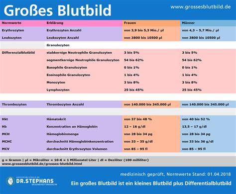 Infografik: Unterschied kleines Blutbild, großes Blutbild und Serumwerte (Blutzucker)