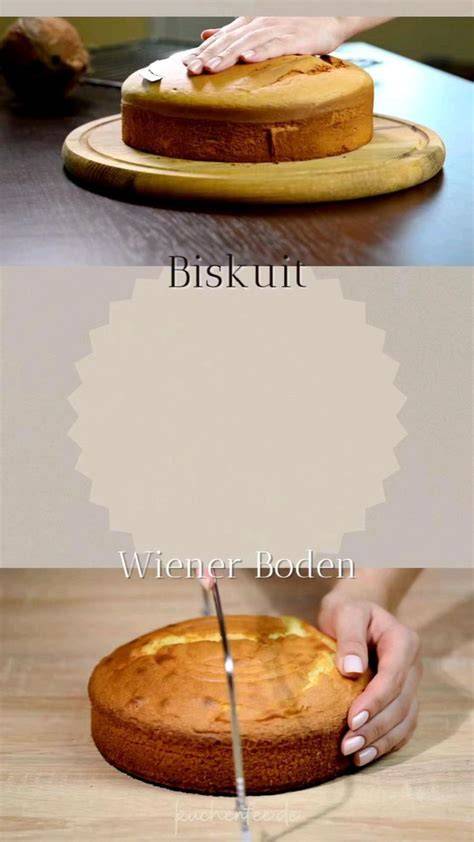 Infografik: Unterschied zwischen Rührteig und Biskuit für Blechkuchen