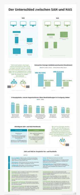 Infografik: Unterschied zwischen Trüffel und Zauberpilzen