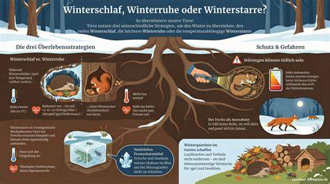 Infografik: Unterschied zwischen Winterschlaf, Winterruhe und Kältestarre