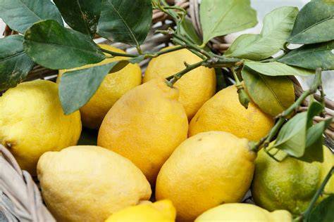 Infografik: Unterschiede zwischen Meyer Zitronen, Amalfi und Cedro