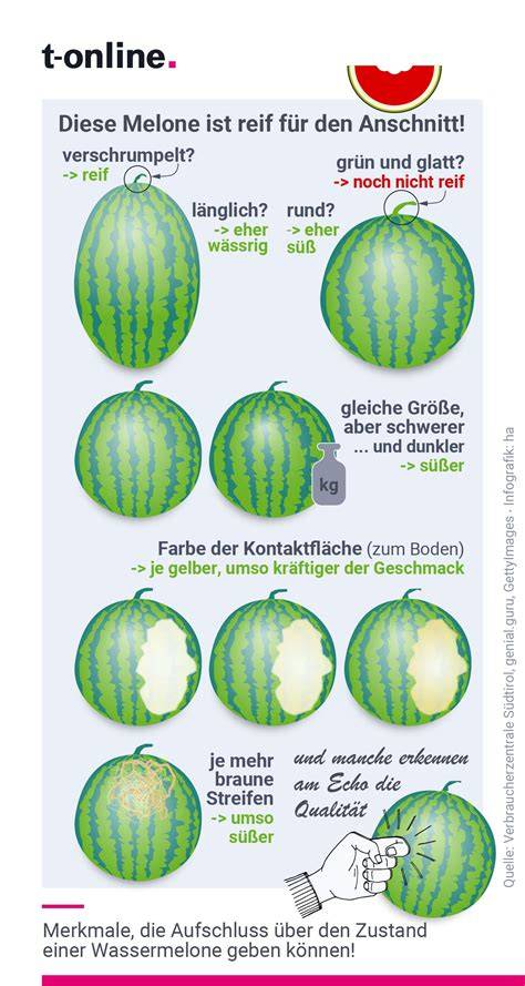 Infografik: Unterschiede zwischen Wassermelone und Zuckermelone