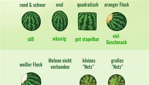 Infografik: Unterschiede zwischen Wassermelone-, Honigmelone- und Cantaloupe-Eis