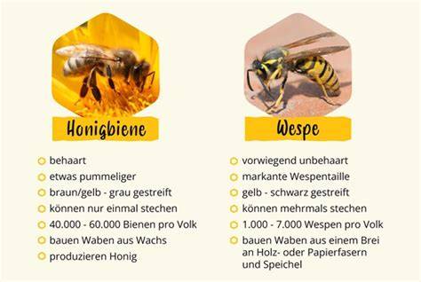 Infografik: Unterschiede zwischen deutschem und importiertem Honig