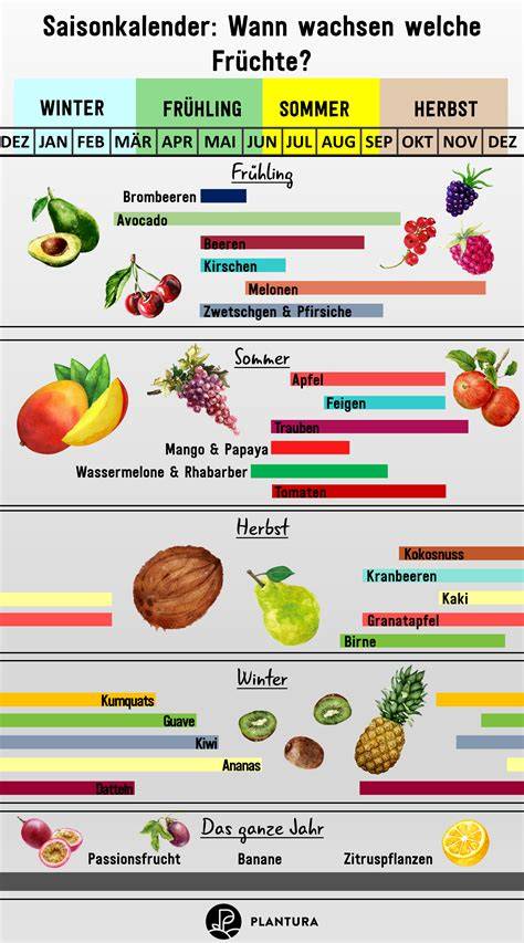 Infografik: Unterschiedliche Früchte für Quarkkuchen - Saisonkalender
