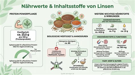 Infografik: Unterschiedliche Lebkuchenarten und Inhaltsstoffe