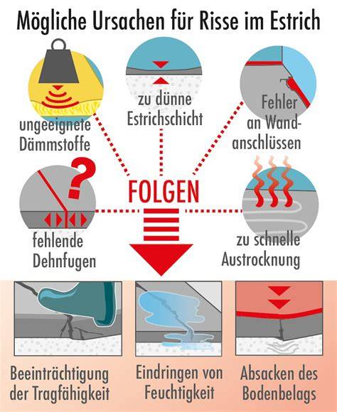 Infografik: Ursachen für Risse und was dagegen hilft