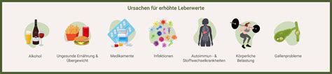 Infografik: Ursachen für typische Pavlova-Risse und Lösungswege