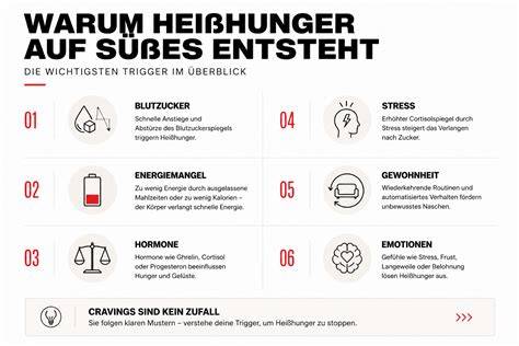 Infografik: Ursachen von Heißhunger und Sofortmaßnahmen (Wasser, Ablenkung, Protein)