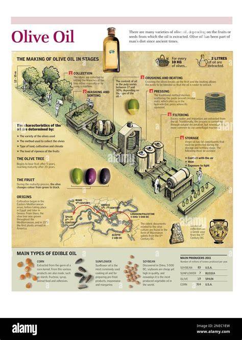 Infografik: Varianten von Olivenöl-Keksen und ihre Zutaten