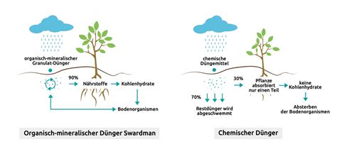 Infografik: Vergleich Naturdünger vs. chemischer Dünger