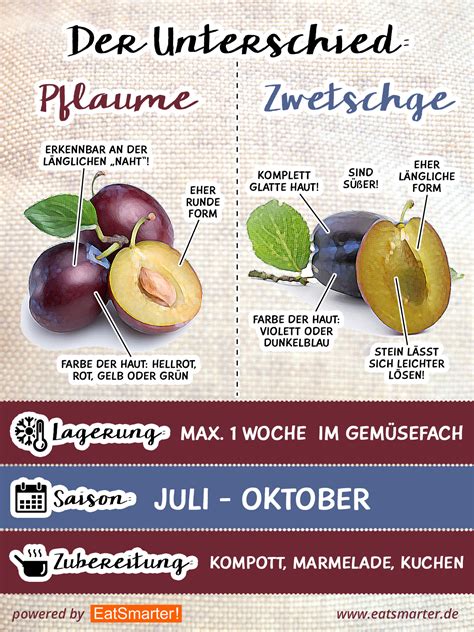 Infografik: Vergleich von Pflaumen vs. Zwetschgen in Marmeladen