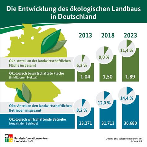 Infografik: Verlauf des Zuckerentzugs