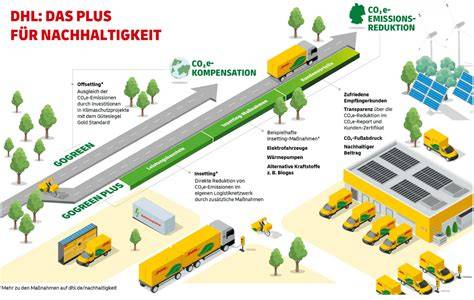 Infografik: Versandprozess DHL GoGreen+ und Kundenzufriedenheit