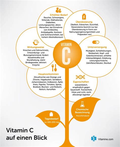 Infografik: Vitamine A, D, E, C und B-Komplex in Sirupform
