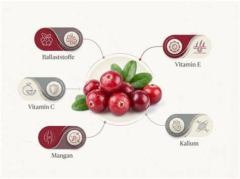 Infografik: Vitamine und Nährstoffe in Cranberries und weißer Schokolade