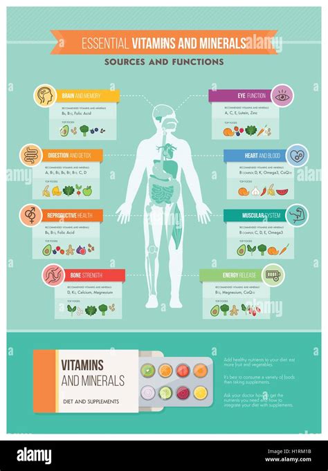 Infografik: Vitamine und Nährstoffe in Marmelade vor und nach dem Kochen