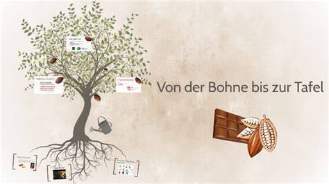 Infografik: Von der Bohne zur Tafel - Bean-to-Bar Prozess