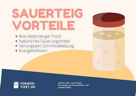 Infografik: Vorteile von Sauerteig für Gesundheit und Backwaren