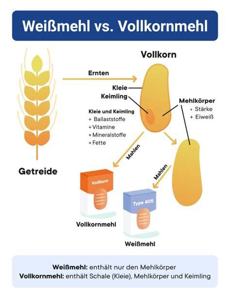 Infografik: Vorteile von Vollkornmehl, Rohrohrzucker-Alternativen, Clean-Baking-Grundsatz