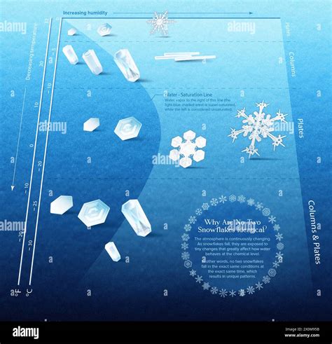 Infografik: Wachstum von Mousse- und Fertigdessertsegmenten