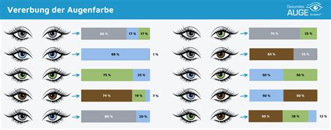 Infografik: Warum Honig die Augenfarbe nicht ändert - Anatomie der Iris und Melanin