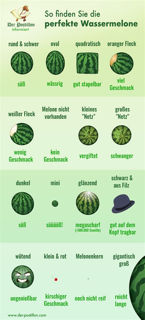 Infografik: Wassermelone-Rezeptideen