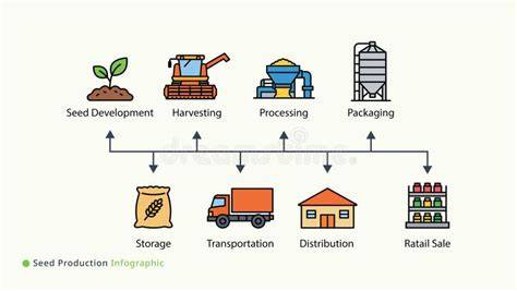 Infografik: Wege für Mineralöl in Schokolade (Ernte, Transport, Verpackung)