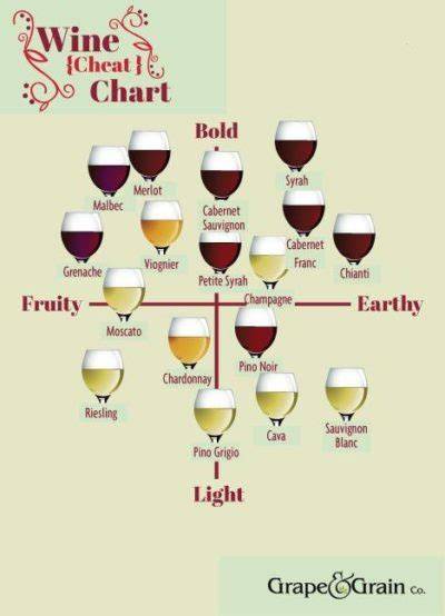 Infografik: Welche Weinsorte zu welcher Schokolade