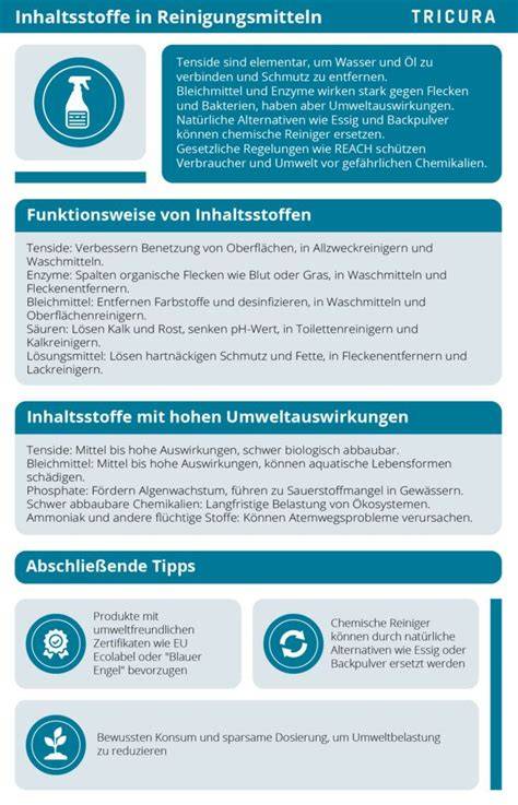 Infografik: Wichtigste Inhaltsstoffe von Zahnpasta und ihre Wirkungen