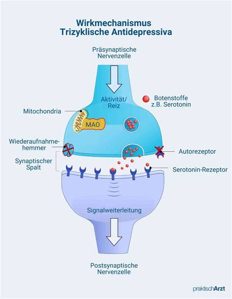 Infografik: Wirkmechanismus von Halsschmerztabletten (Honig-Zitrone, antiseptische Wirkung)