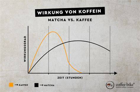 Infografik: Zeitlicher Verlauf der Koffeinwirkung nach Konsum