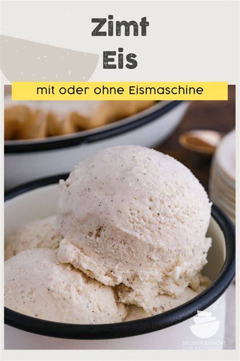 Infografik: Zubereitungsschritte und Programmvielfalt der Eismaschine
