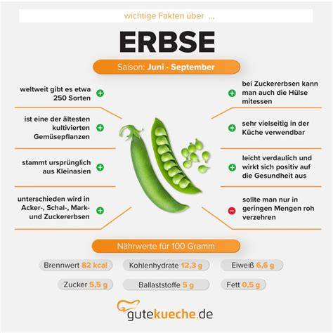 Infografik: Zubereitungszeiten und Nährwerte einer Melonen-Joghurt-Torte