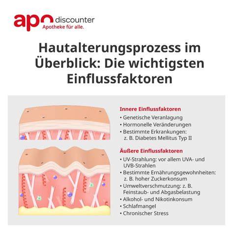 Infografik: Zucker und Hautalterung