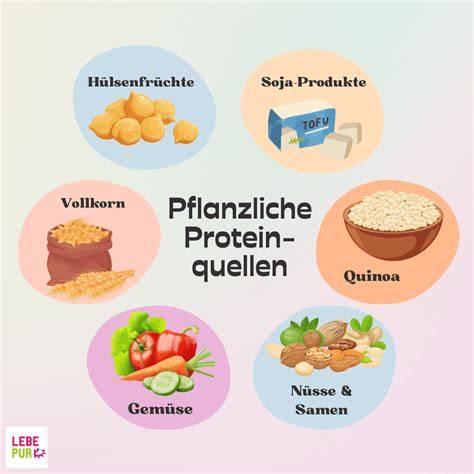 Infografik: Zuckerersatz, Low-Carb-Mehle, Proteinquellen im Backen