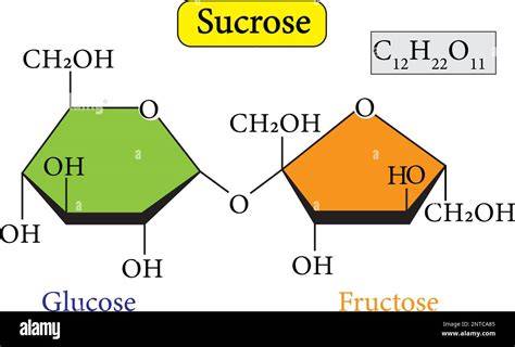 Infografik: Zuckerzusammensetzung im Honig (Fructose, Glucose, Disaccharide, Wasser)