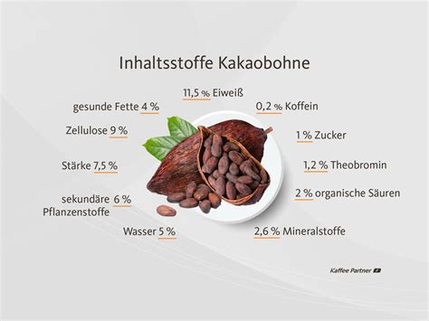 Infografik: Zusammensetzung der Kakaobohne (Polyphenole, Mineralien, Theobromin)
