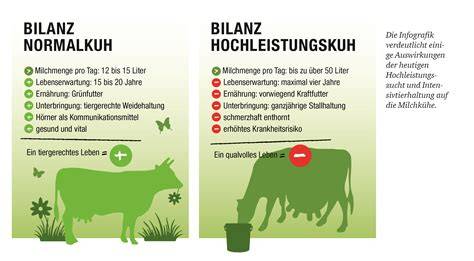 Infografik: Zutatenübersicht (Milchbestandteile, Kakaobestandteile, Emulgator, mögliche Nüsse)