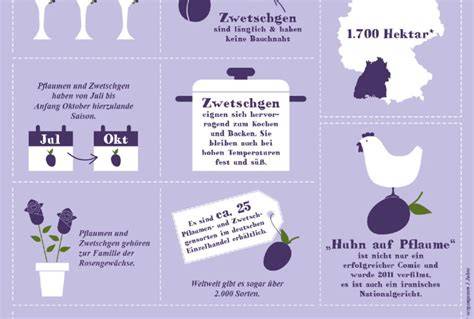 Infografik: Zutatenübersicht Pflaumen-Rotwein-Torte