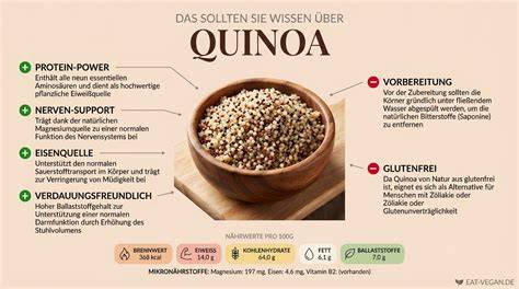 Infografik: Zutaten und Struktur eines veganen Cashew-Käsekuchen