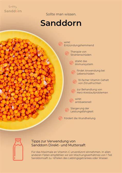 Infografik: Zutatenverhältnis Sanddorn, Holunder, Gelierzucker und Zitrone