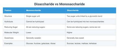 Infografik: schneller vs. langsamer Blutzuckeranstieg (Disaccharide vs. Stärke)