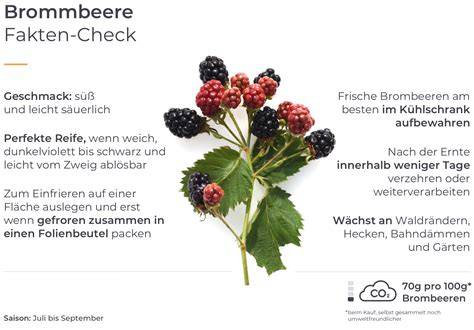 Infografik: verschiedene Varianten von Brombeer-Marmelade