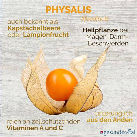 Infografik über Physalis-Zubereitung und Lampion-Hülle